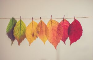 Best destinations to travel by every month Best destinations to travel by every month