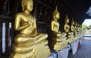 Top things to do in Colombo Top things to do in Colombo