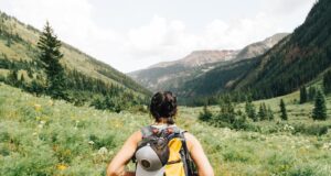 Qualities of a good traveller Qualities of a good traveller