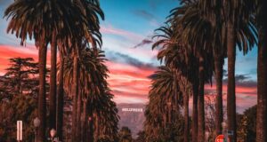 Top things to do in Los Angeles Top things to do in Los Angeles