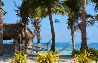 Top things to do in Fiji Top things to do in Fiji