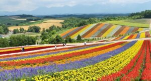 Top things to do in Hokkaido Top things to do in Hokkaido