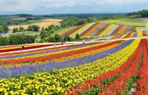Top things to do in Hokkaido Top things to do in Hokkaido