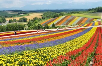 Top things to do in Hokkaido Top things to do in Hokkaido