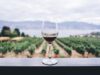 Best Travel Destinations for Wine lovers Best Travel Destinations for Wine lovers