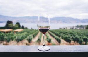 Best Travel Destinations for Wine lovers Best Travel Destinations for Wine lovers