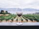 Best Travel Destinations for Wine lovers Best Travel Destinations for Wine lovers