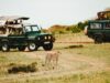 Best Safaris around the World Best Safaris around the World