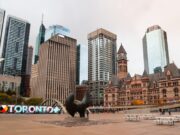 Best places to visit in Canada Best places to visit in Canada