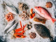 Best Destinations for Seafood Lovers Best Destinations for Sea Food Lovers