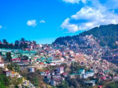 Top things to do in Shimla Top things to do in Shimla