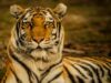 10 Best National Parks in India Best National Parks in India