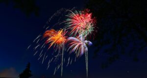 Best places in India to celebrate New Year Best places in India to celebrate New Year