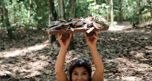 Everything you need to know about Cu Chi Tunnels, Vietnam Everything you need to know about Cu Chi Tunnels