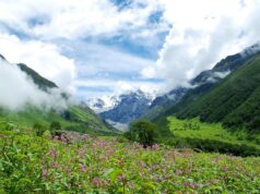 Discover the beauty – Guide to Valley of Flowers trek Guide to Valley of Flowers Trek