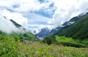 Discover the beauty – Guide to Valley of Flowers trek Guide to Valley of Flowers Trek