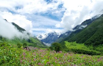 Discover the beauty – Guide to Valley of Flowers trek Guide to Valley of Flowers Trek