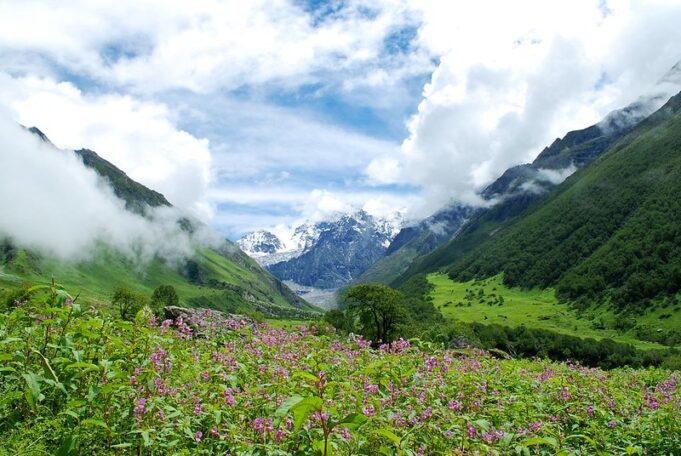 Discover the beauty – Guide to Valley of Flowers trek Guide to Valley of Flowers Trek