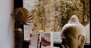 8 Best Ayurveda Retreats in India Best Ayurveda Retreats in India