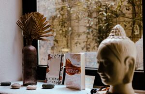 8 Best Ayurveda Retreats in India Best Ayurveda Retreats in India